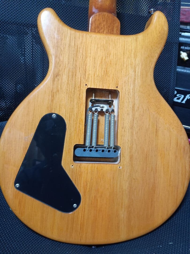 PRS SE Santana Orange Electric Guitar Safe Packing!