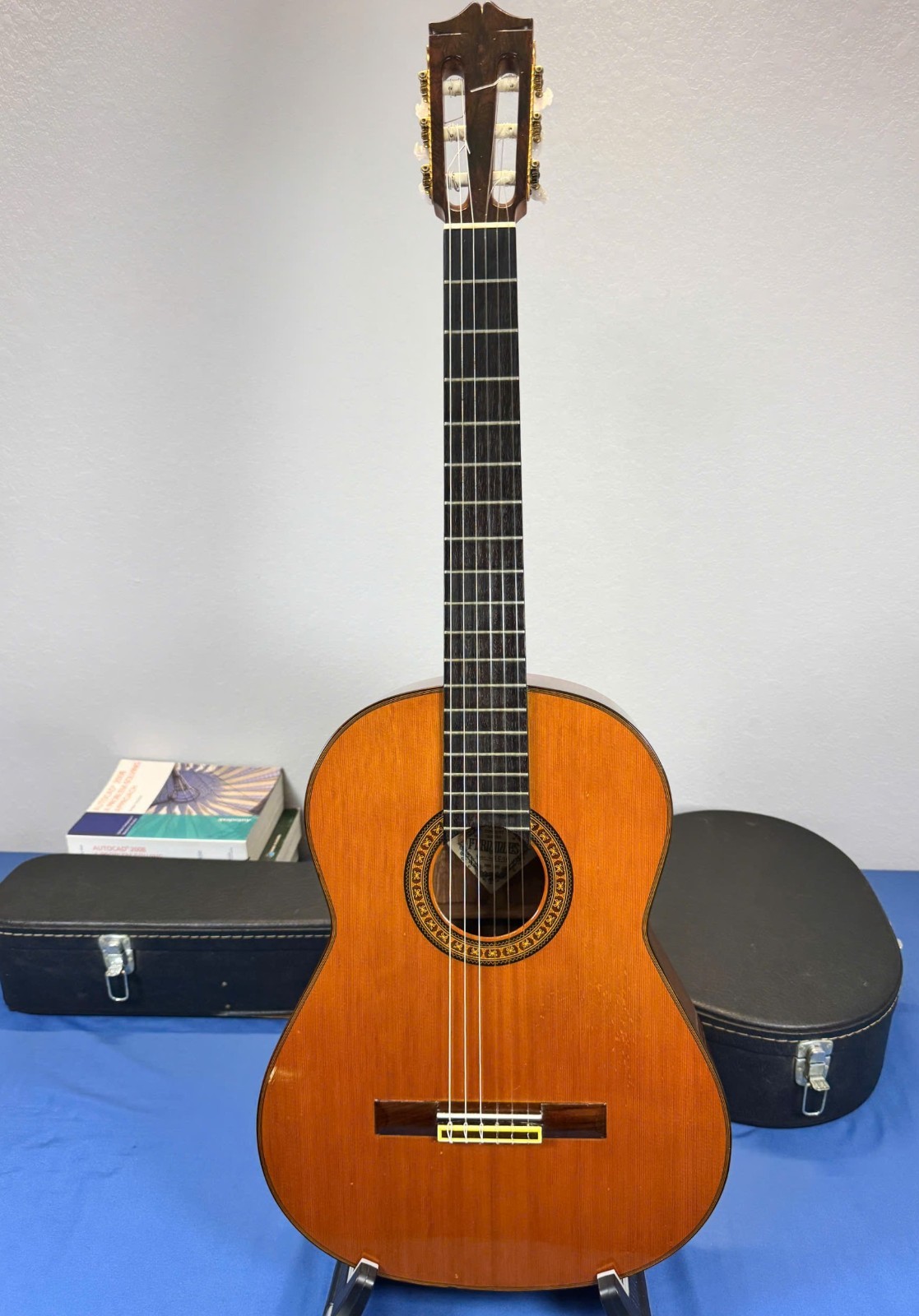 Fernandes GC-50 – Jacaranda – 1978-1979 – Good