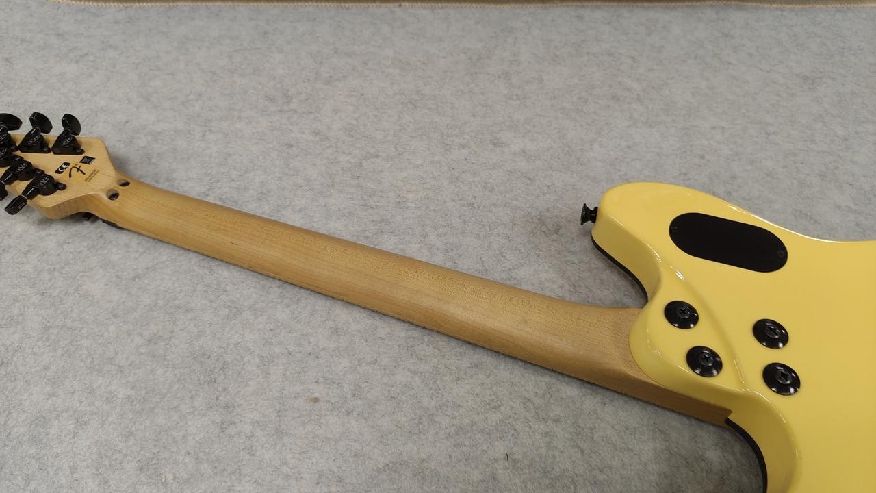 EVH SPECIAL Other body types