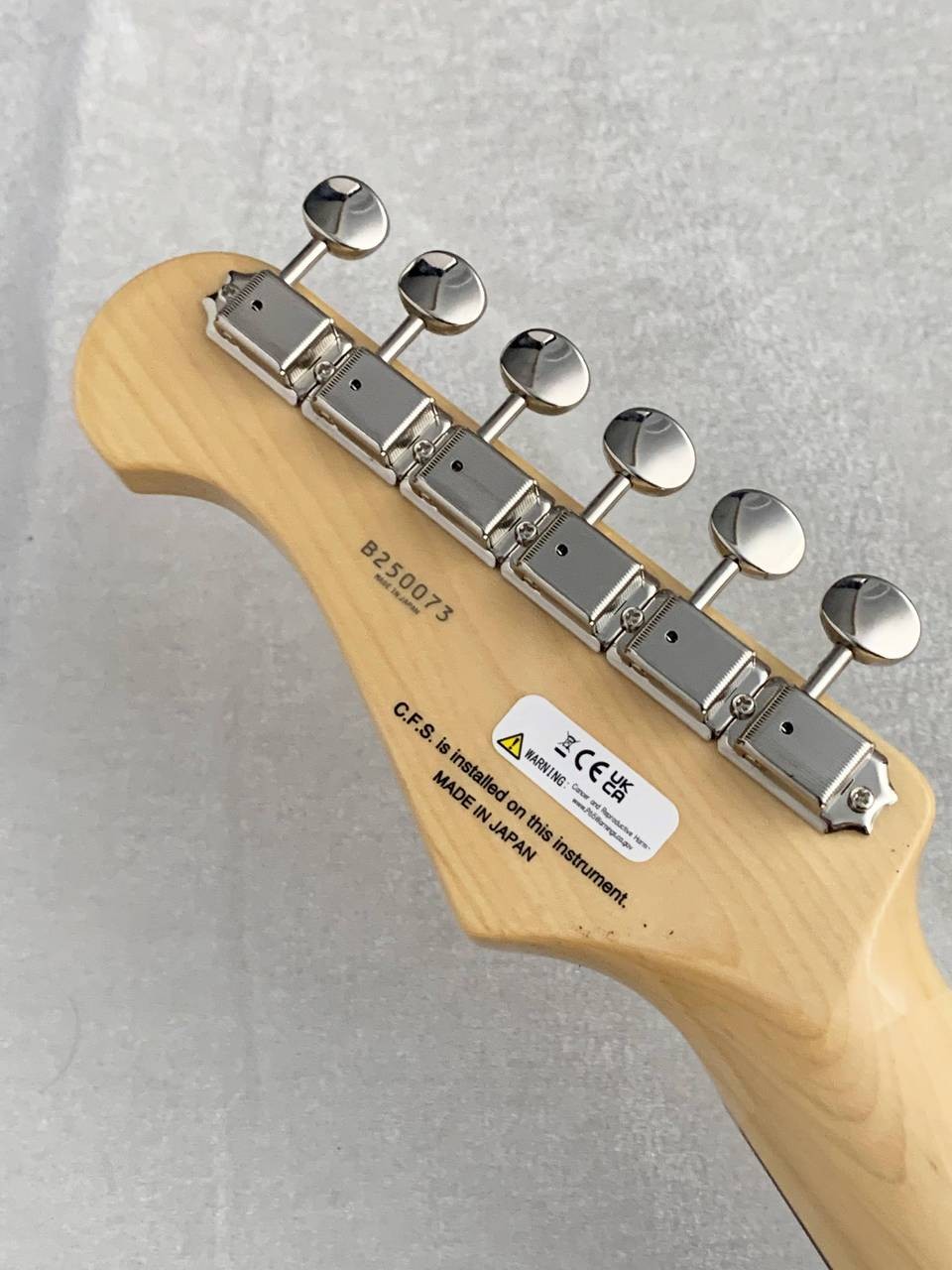 FUJIGEN (FGN) Neo Classic Series NTE100RAL-CAG Candy Apple Green #B250073 3.52kg
