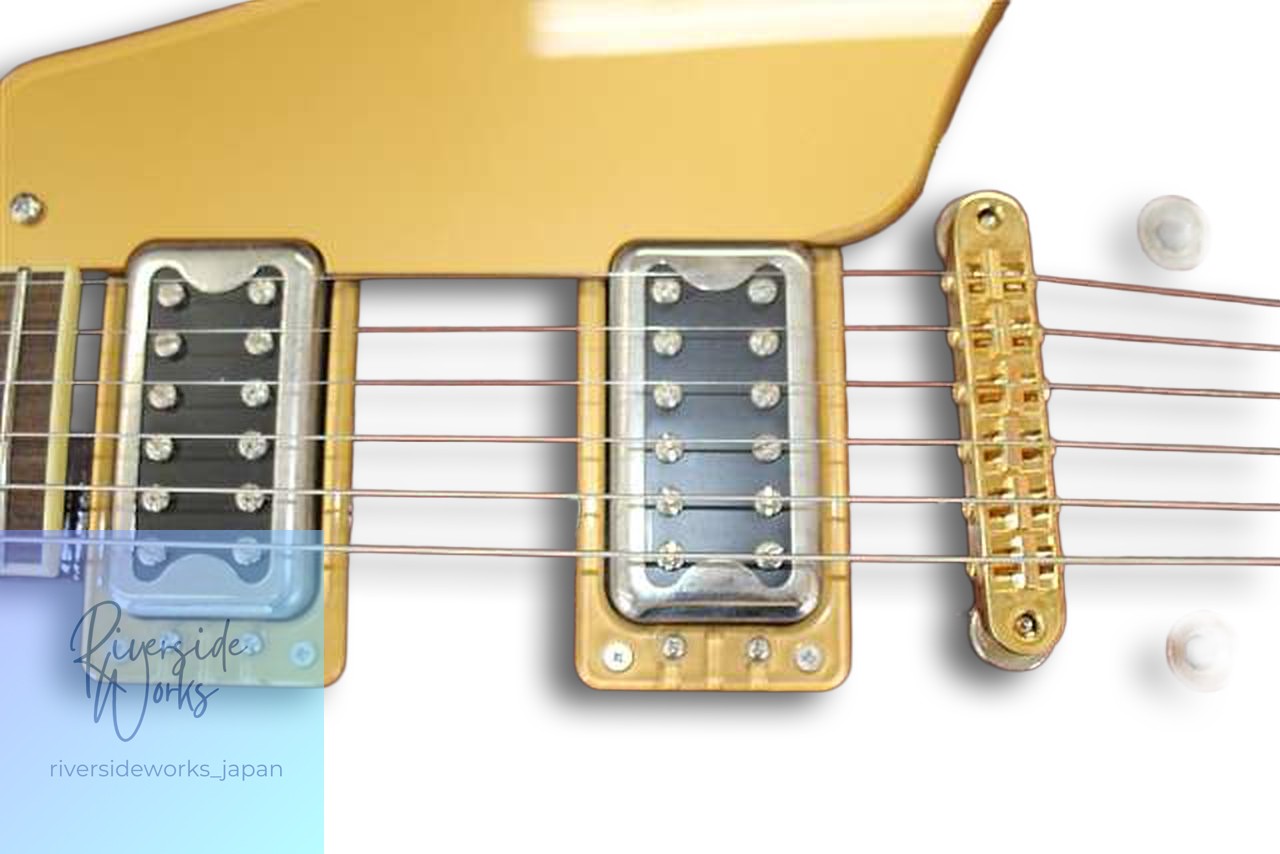 GRETSCH Other Body Type G5622