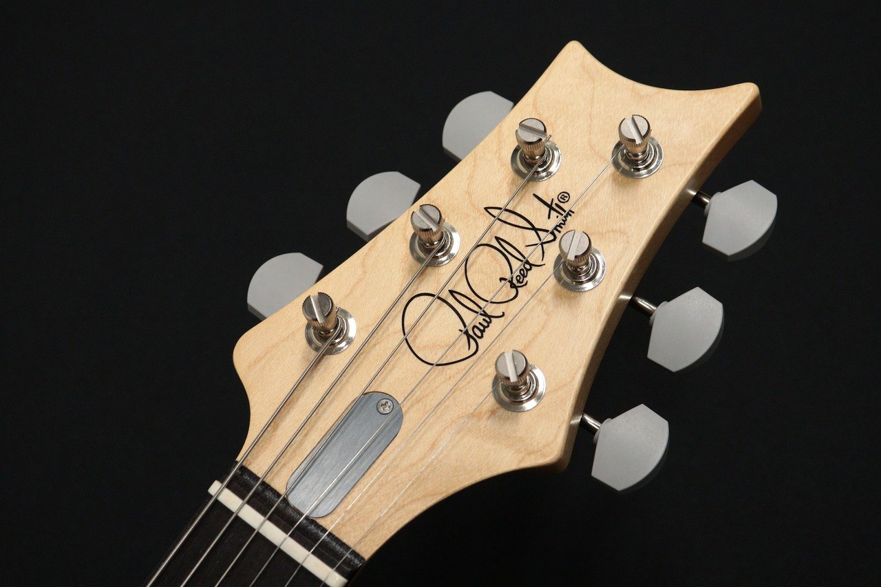 Paul Reed Smith PRS Silver Sky Moc Sand Satin Rosewood, 2026 model, 3.29kg