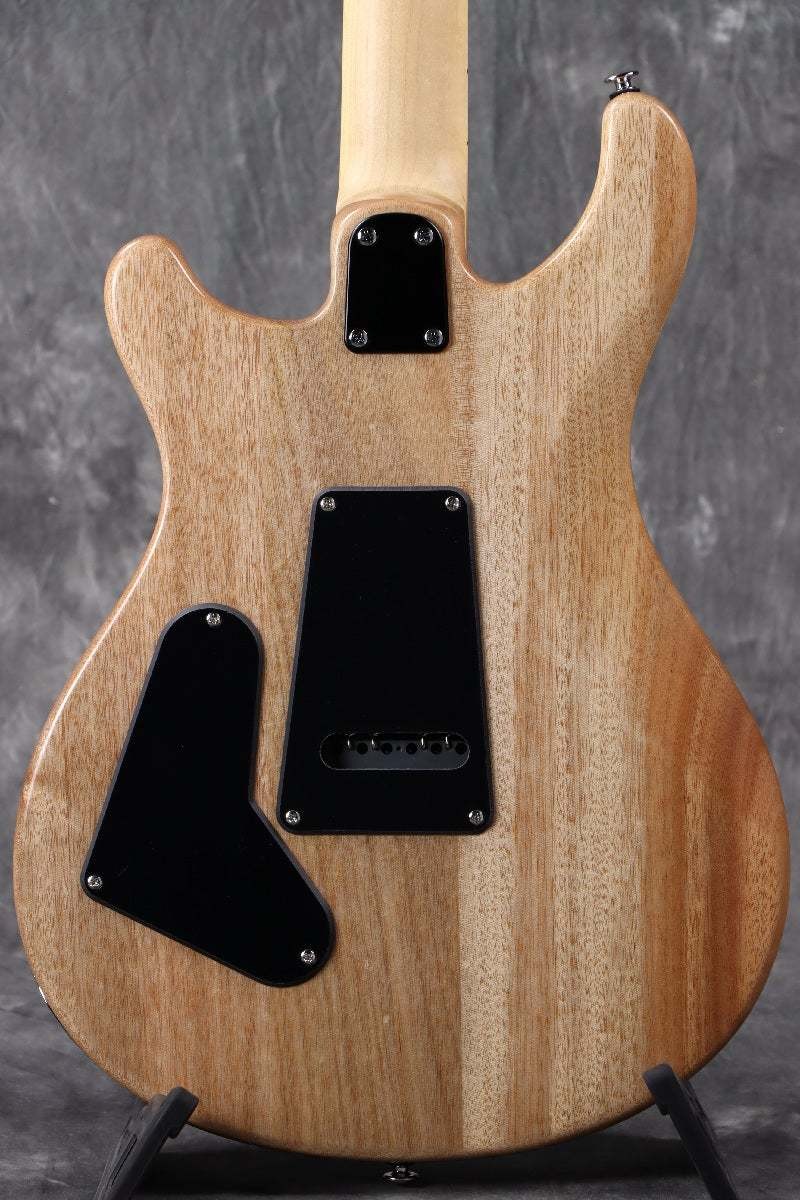 Paul Reed Smith Prs 2025 Se Ce24 Maple Fretboard -Sb- Slate Blue *La769