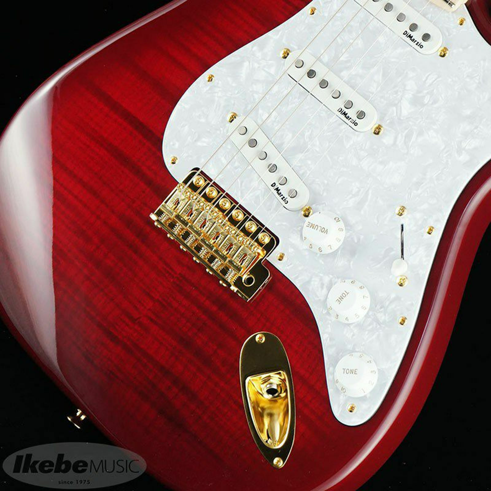 Fender Japan Exclusive Richie Kotzen Stratocaster Transparent Red Burst