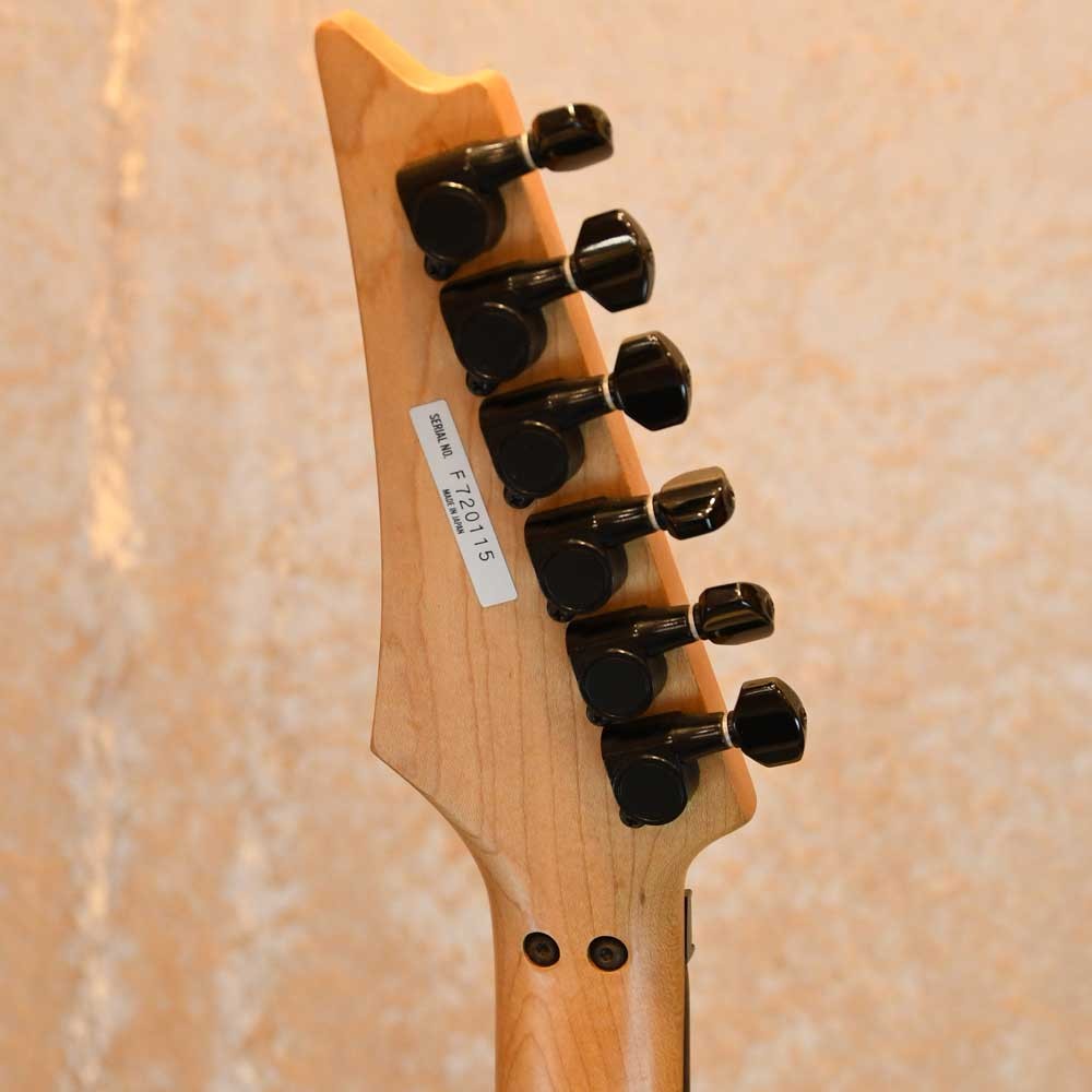 Ibanez RG540R Electric Guitar