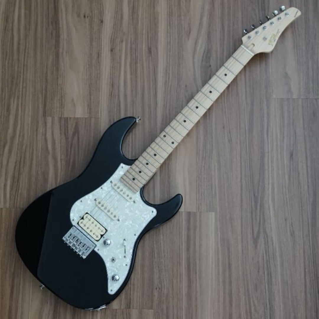 Fujigen guitar FGN BOS Made in Japan Musical Instruments