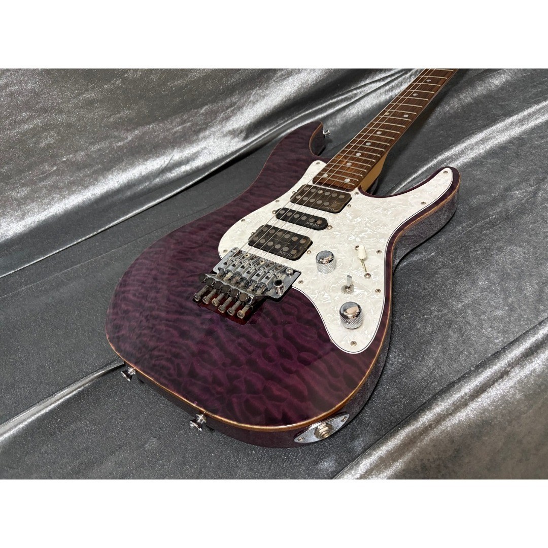 Domestic limited model SCHECTER SD-2-24 MH shop order