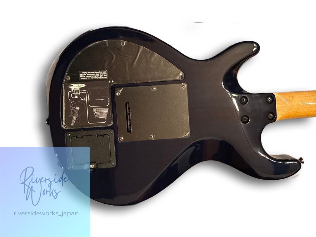LINE6 Variax 700 Modeling Guitar with Case