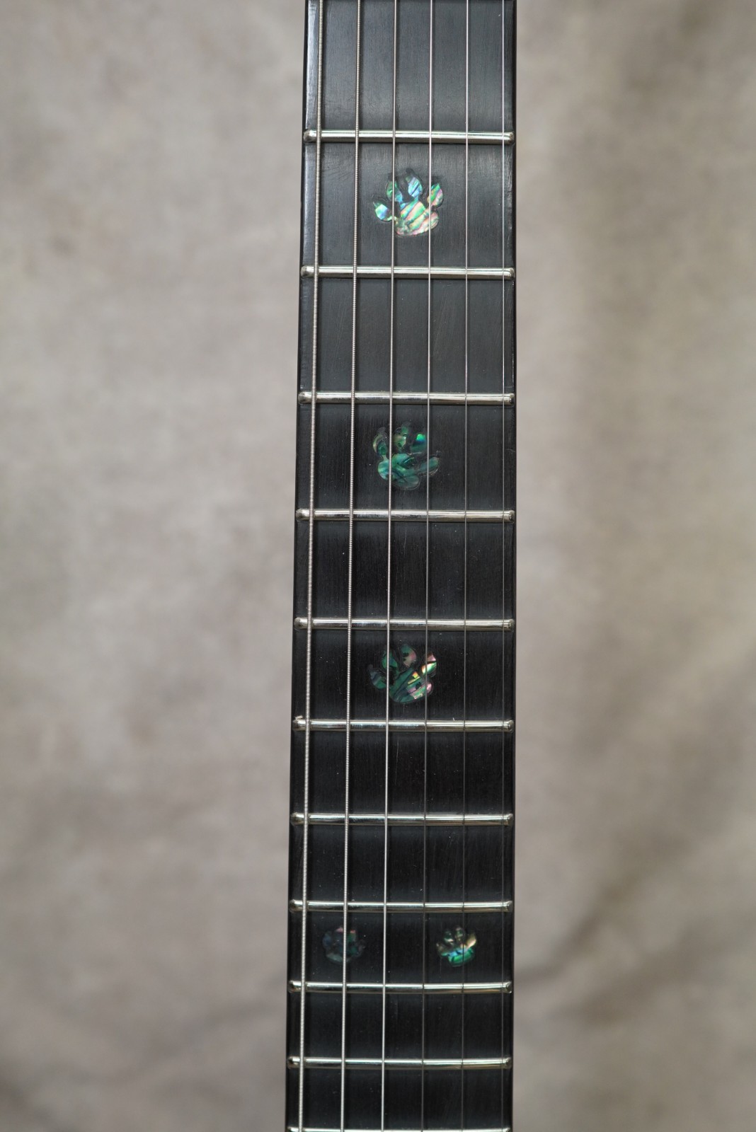 AIO TC1-Walnut Neck -through Electric Guitar – H001
