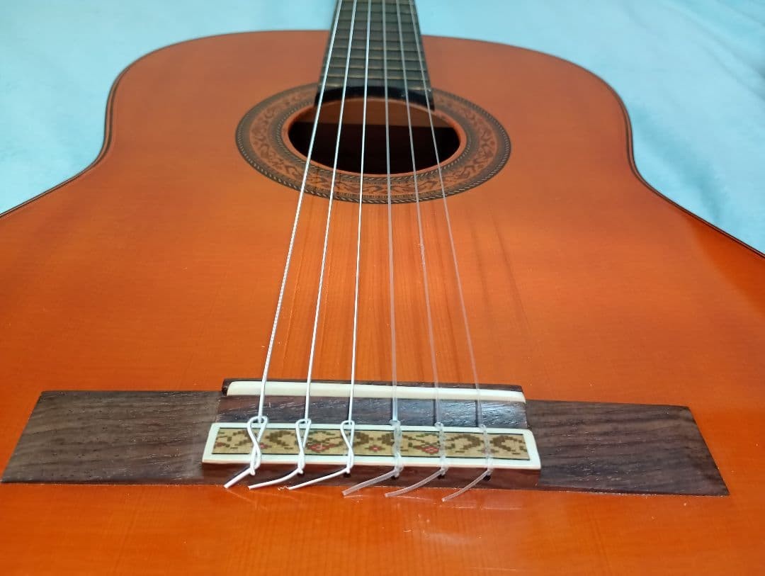 Takamine montano Toku No. 1 with hard case [rare item]