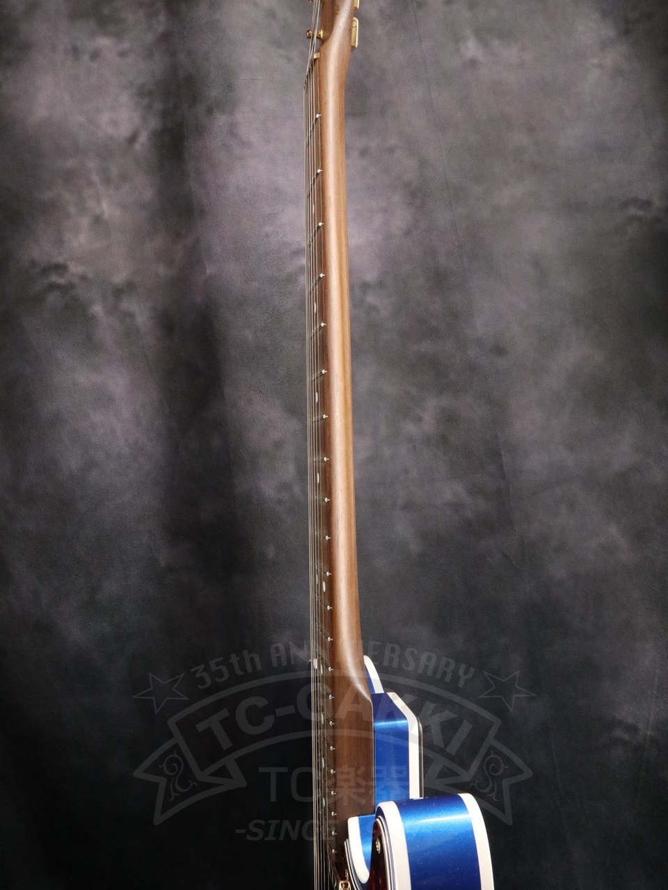 Moon TE-C Rosewood Neck Electric Guitar Part