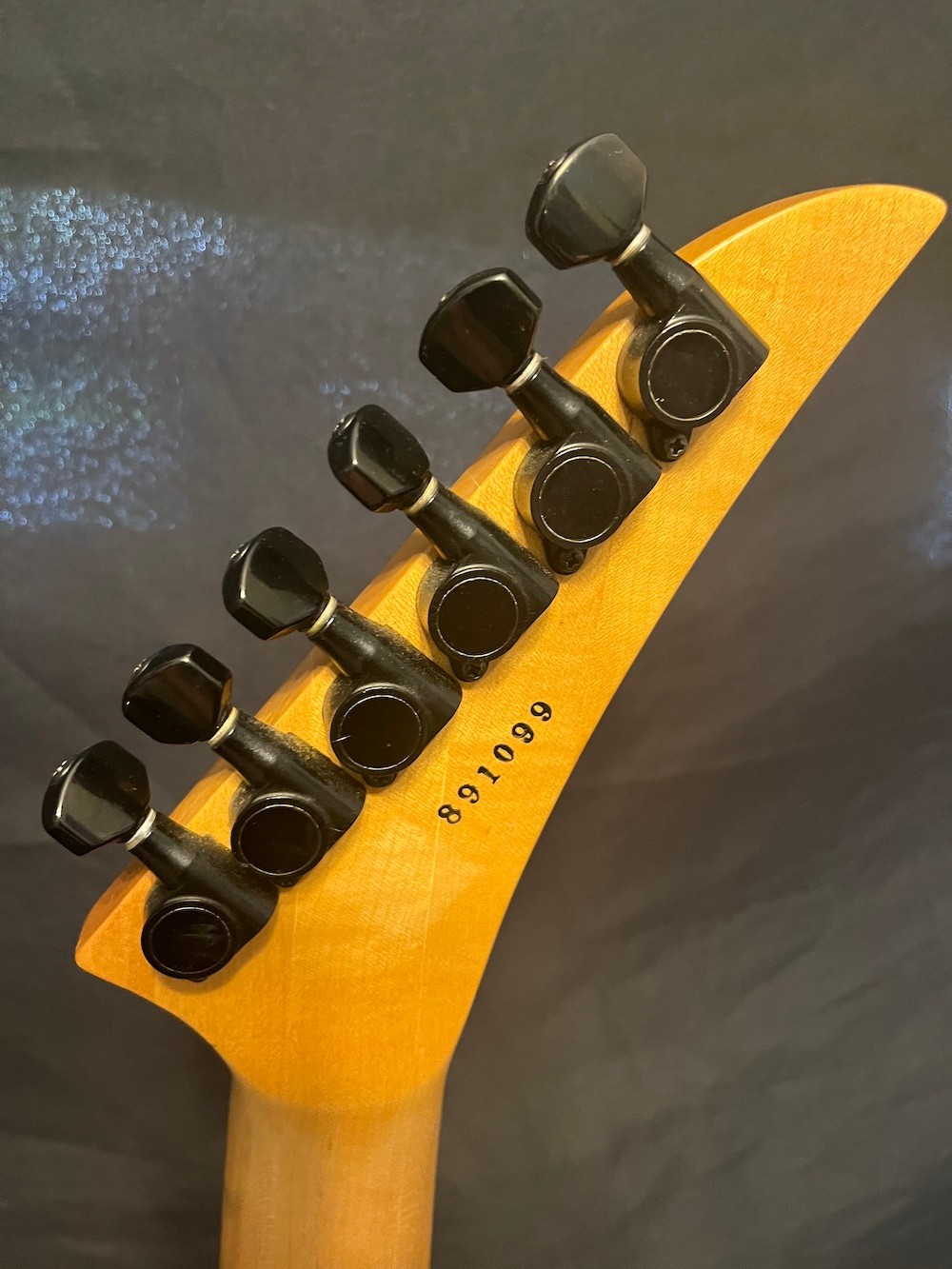 1989 Robin Raider Custom Guitar-Panther Graphic-Reverse Headstock W/Case