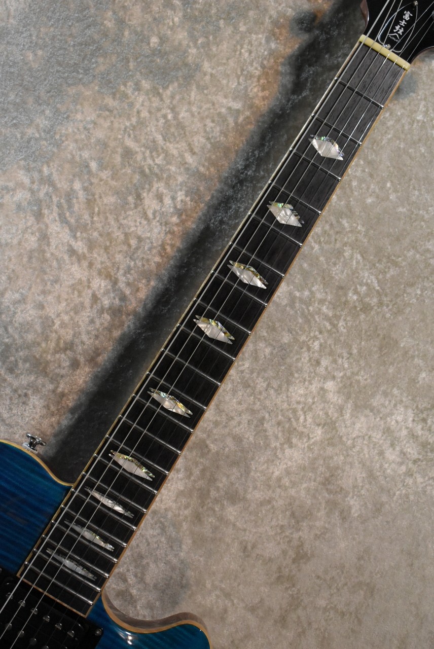 FUJIGEN(FGN) FGN EFL-FM/EB IB 3.95kg 2015 #GG27x
