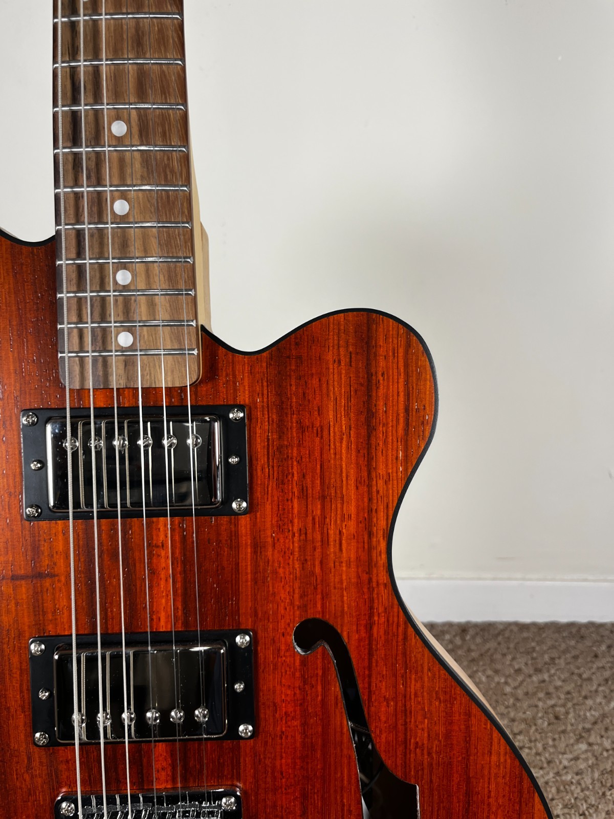 Catalyst – Semi-Hollow Electric Guitar – FREE HARDCASE & SHIP(ES225/Tele hybrid)