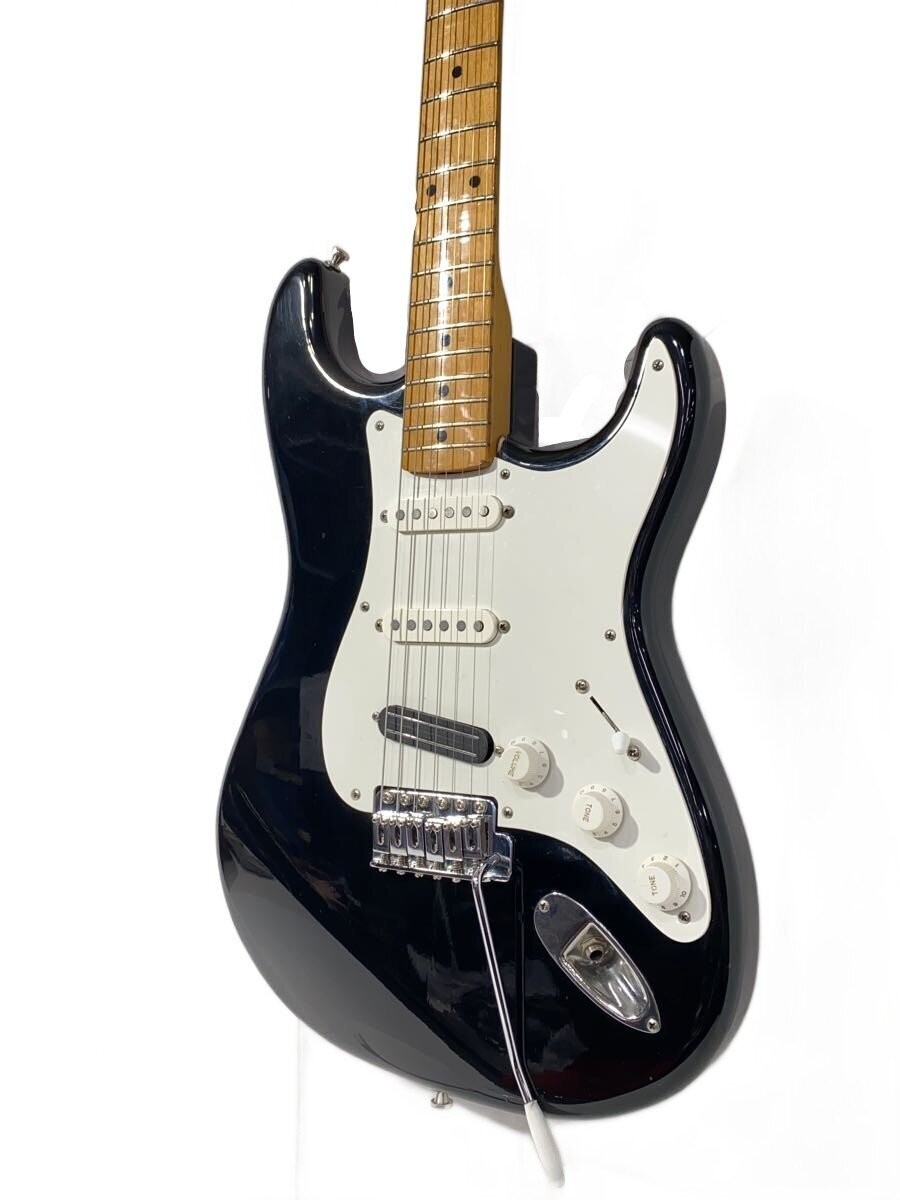 Bill Lawrence Challenger 1/Soft Case/Rear Pu Replacement/Strat Type/Black/Black