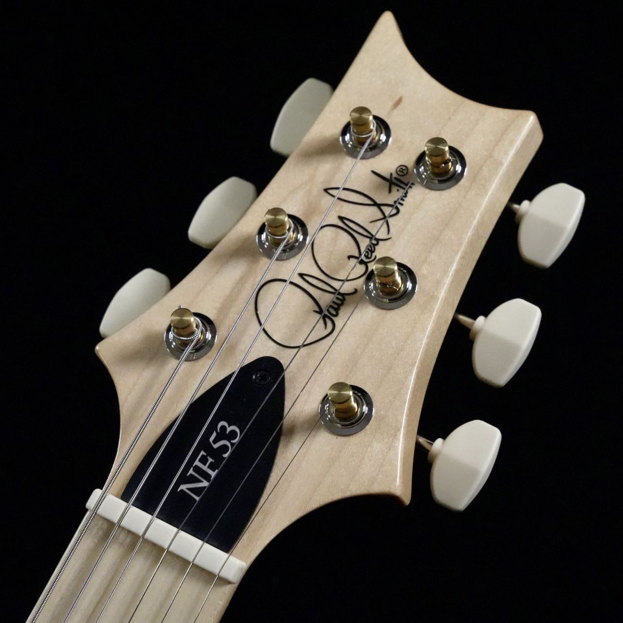 Paul Reed SmithPRS NF 53/White Doghair New Electric Guitar 2024