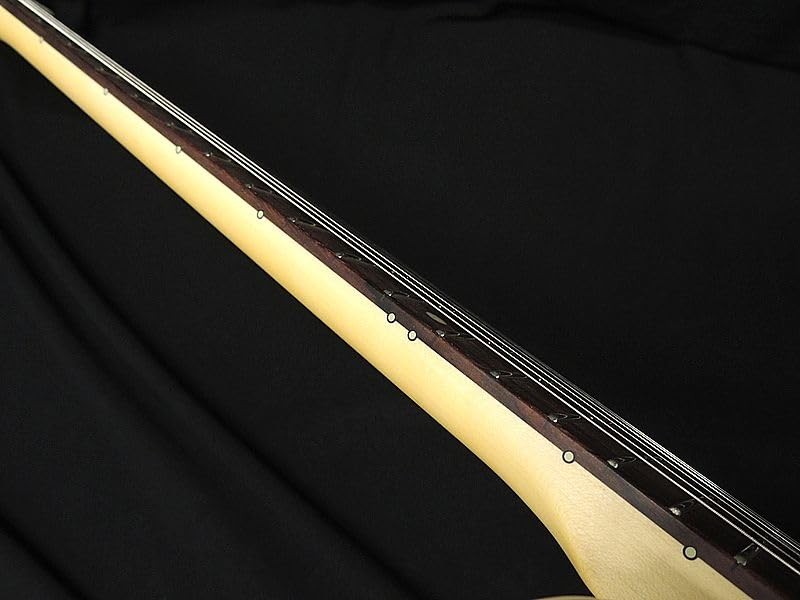 FGN FUJIGEN NTE100RAL BLK Neo Classic SERIES Fujigen Telecaster-type Black