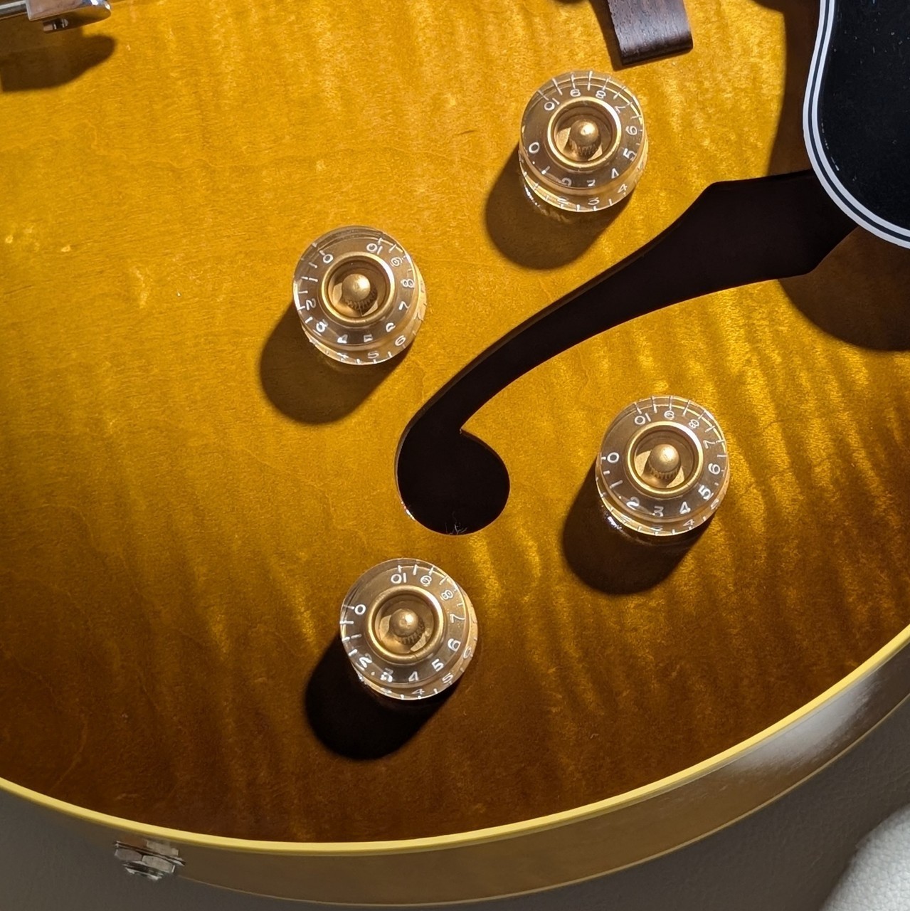KING SNAKE Two Bone -Dirty Sunburst – #GG1jh
