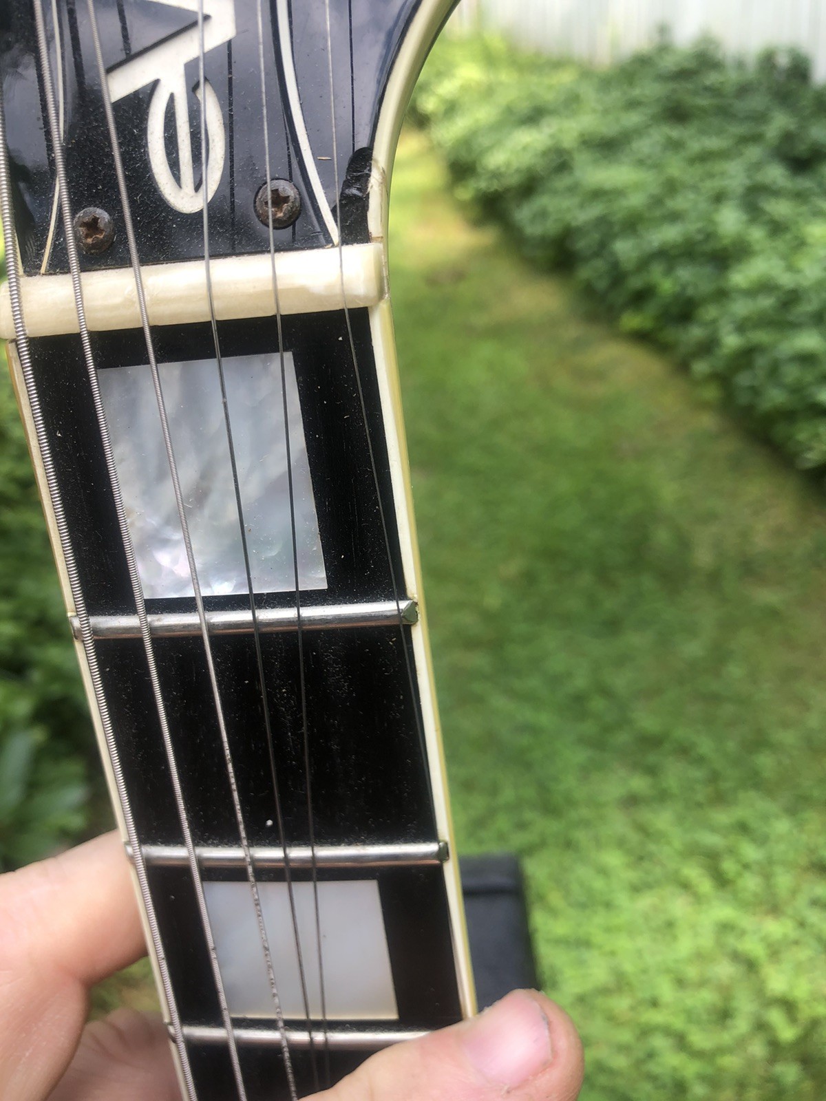Dean Czech Evo Premium