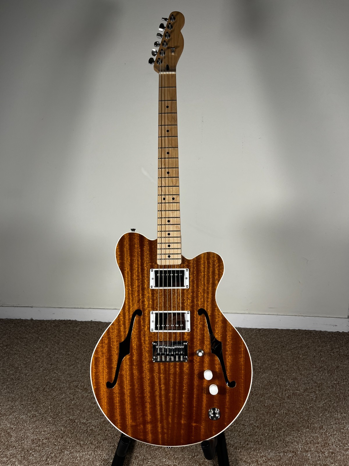Catalyst Semi-Hollow Electric Guitar – FREE HARDCASE & SHIP (ES225/Tele hybrid)