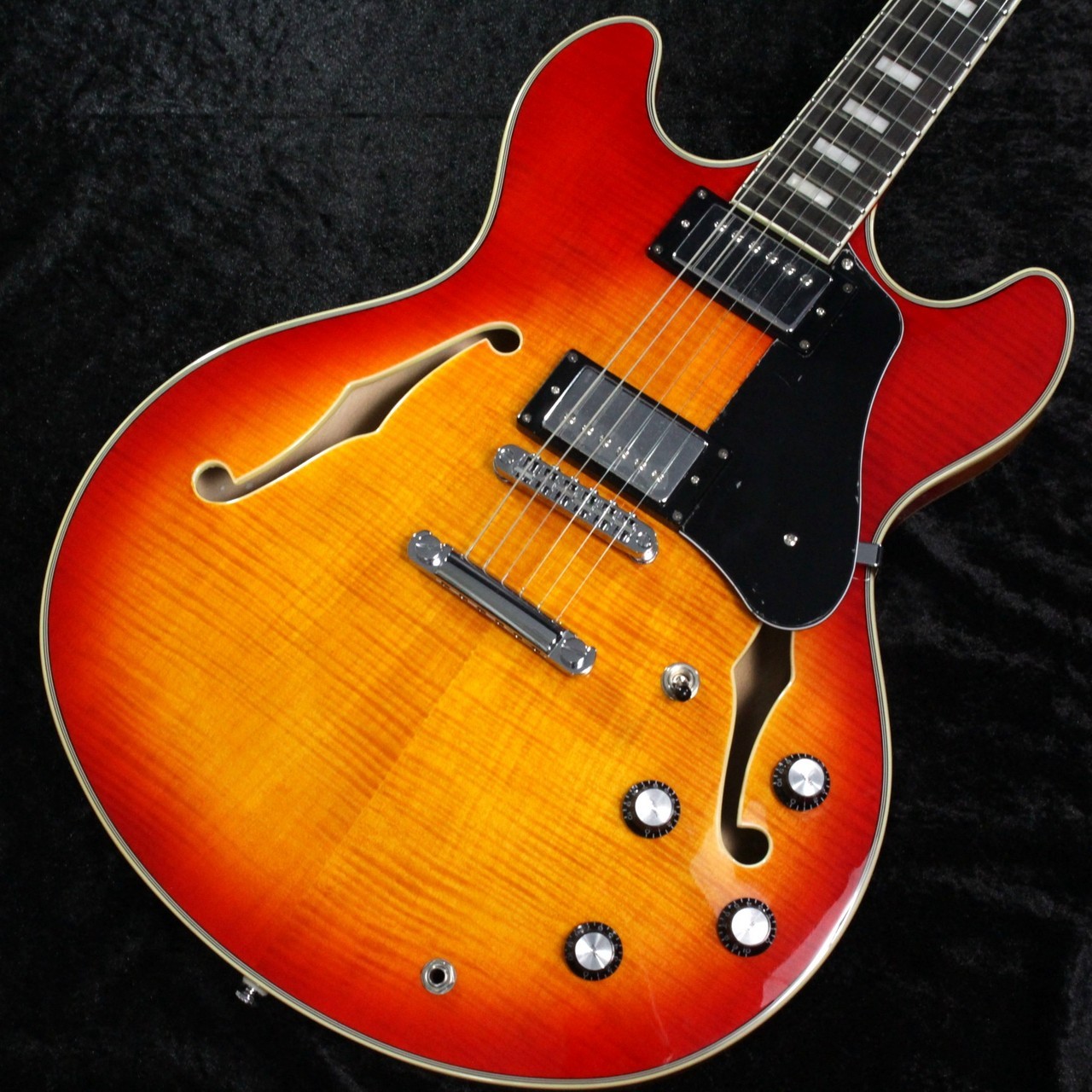 Sire Larry Carlton H7 Cs 2N25771381 4.03Kg Safe delivery from Japan
