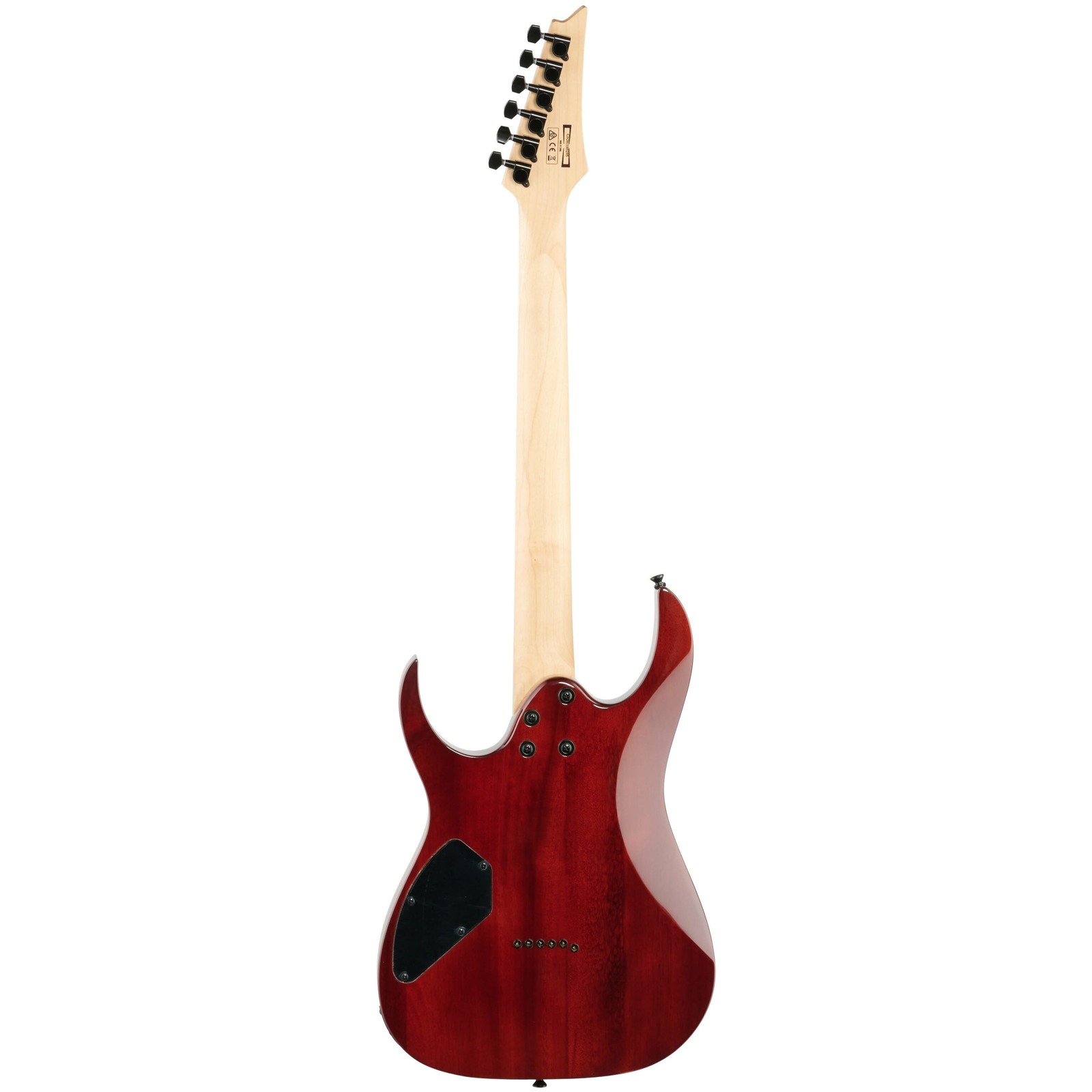 Ibanez GRGR221PA Gio Electric Guitar, Purpleheart Fingerboard, Aqua Burst
