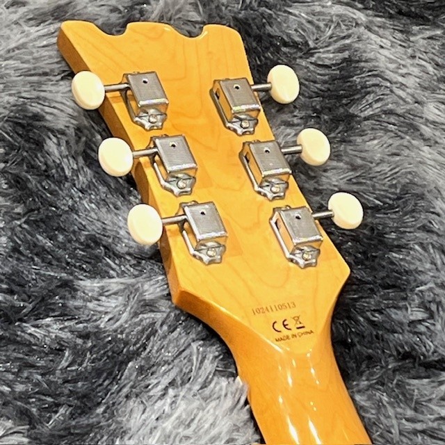 Aria Pro II DM-206 BK Basswood Maple Electric Guitar Shipping From Japan