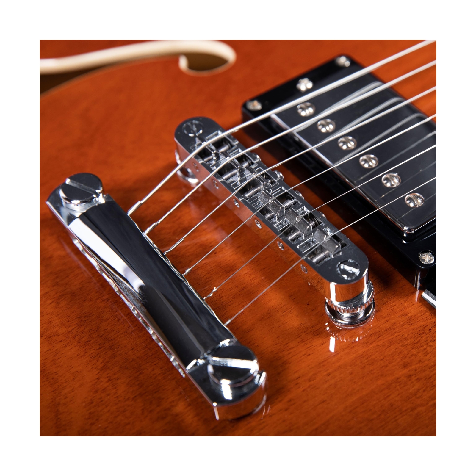 Semi-Hollow Body Electric Guitar RD-100 Jazz Guitar with F-Hole,Maple neck,hu…
