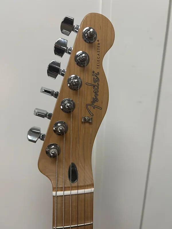 Fender Ltd Ed Player Telecaster with Roasted Maple Fretboard – Sienna Sunburst