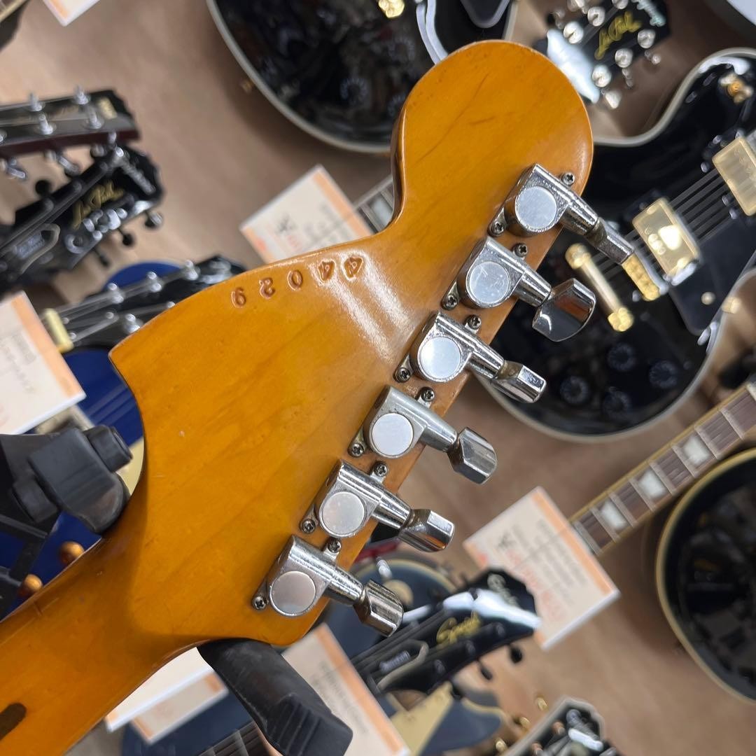 FERNANDES BURNY custom jumbo frets Safe packing!
