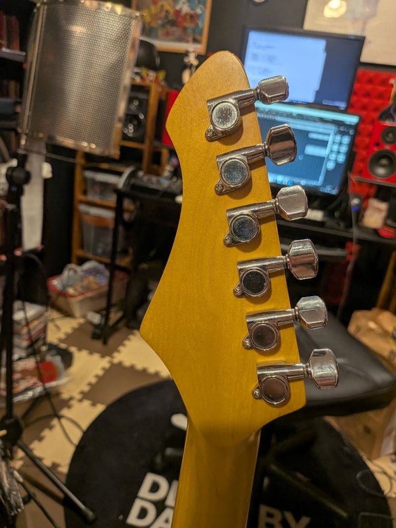 Super beautiful item, finest individual Aria Pro II FL-series