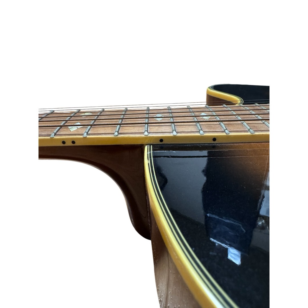 takamine cooder TCP-550VTS with hard case
