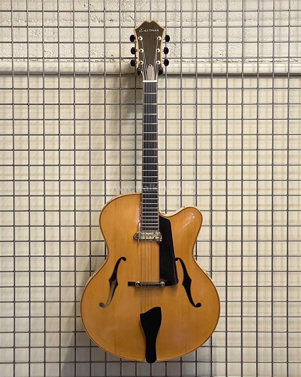 Eastman AR910CE (no260723)