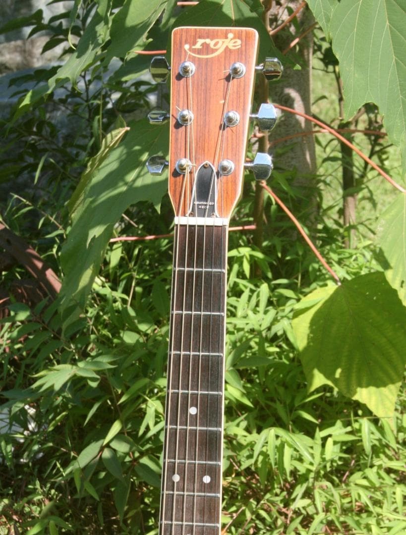 Roje RF300 Western Guitar Zen-On Made Japan 1975