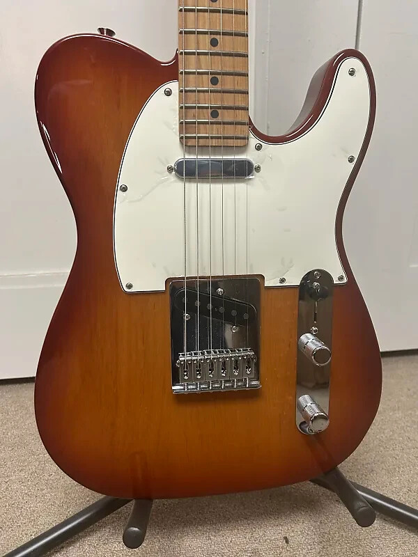 Fender Ltd Ed Player Telecaster with Roasted Maple Fretboard – Sienna Sunburst