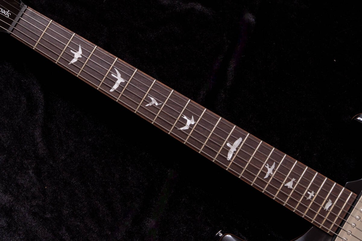 Electric Guitar PRS Paul Reed Smith SE Special Semi-Hollow 2025 Charcoal Burst