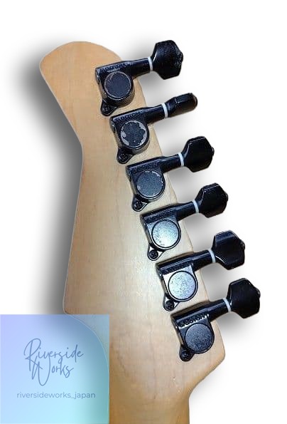 FERNANDES FR-55T with Gig Bag