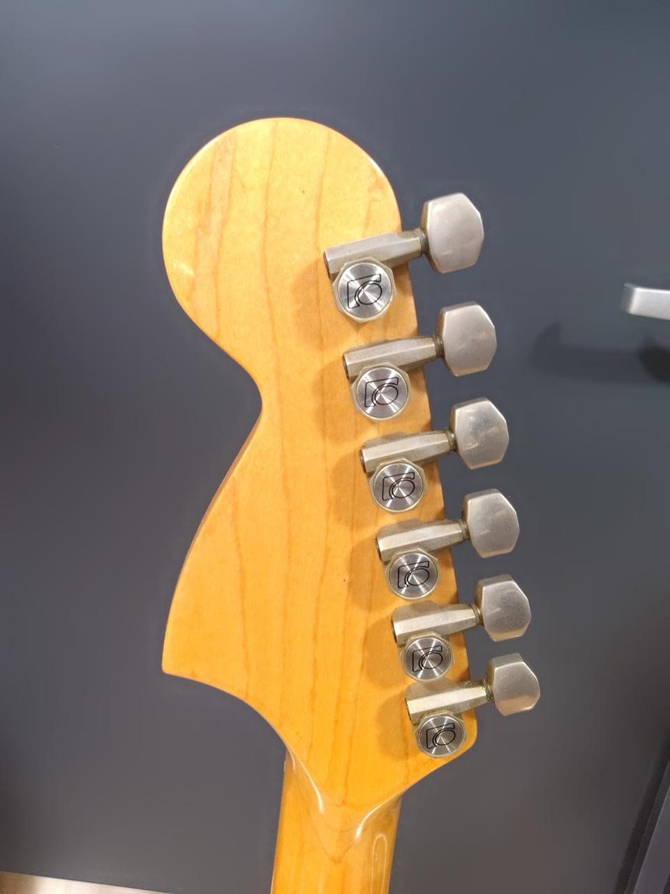 FERNANDES / FST-70 (no260404)