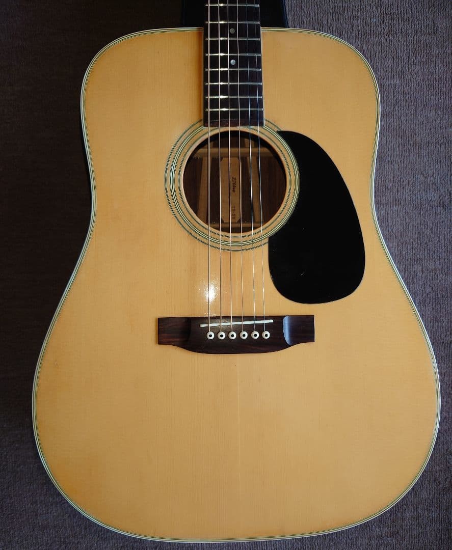 takamine Elite tw-30 acoustic guitar with hard case