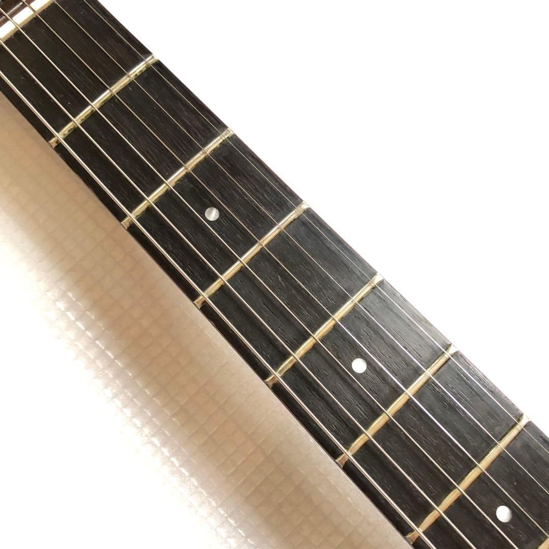 FERNANDES THE FUNCTION 3.30kg Electric Guitar