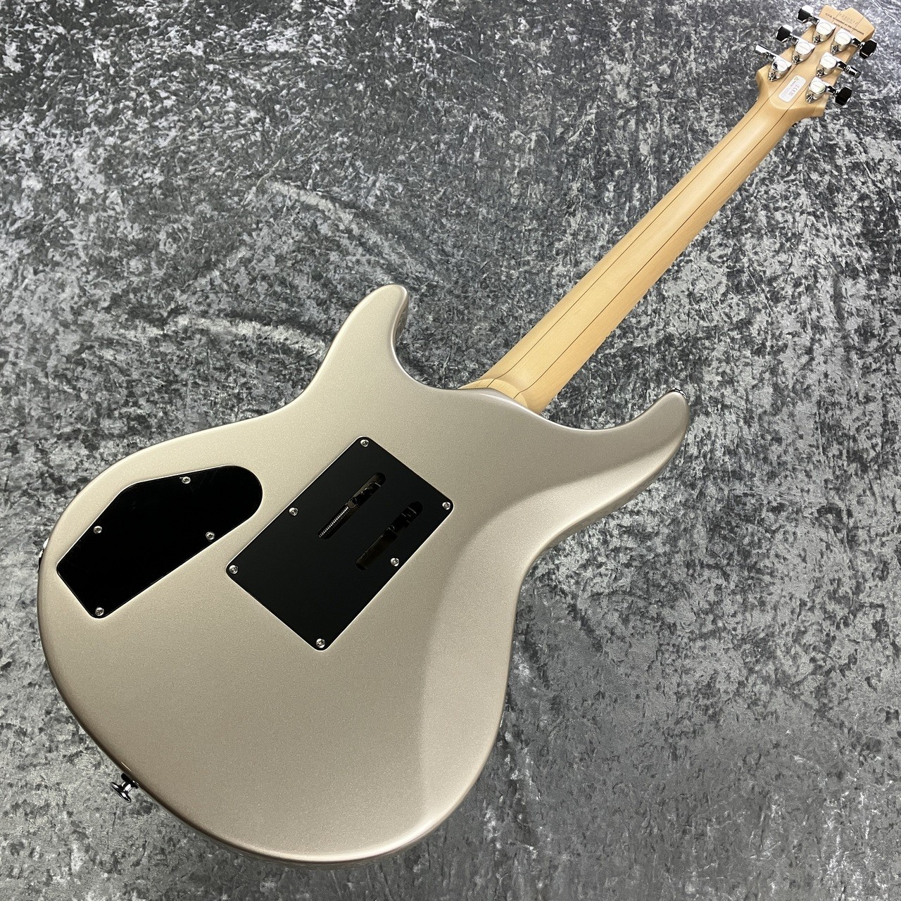 FUJIGEN(FGN) EEL-MH-TR/PLR [USED] w/hard case