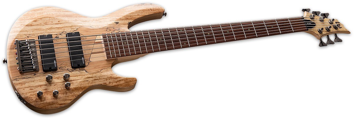 ESP LTD B-206SM 6-String Electric Bass Guitar Natural Satin BRAND NEW