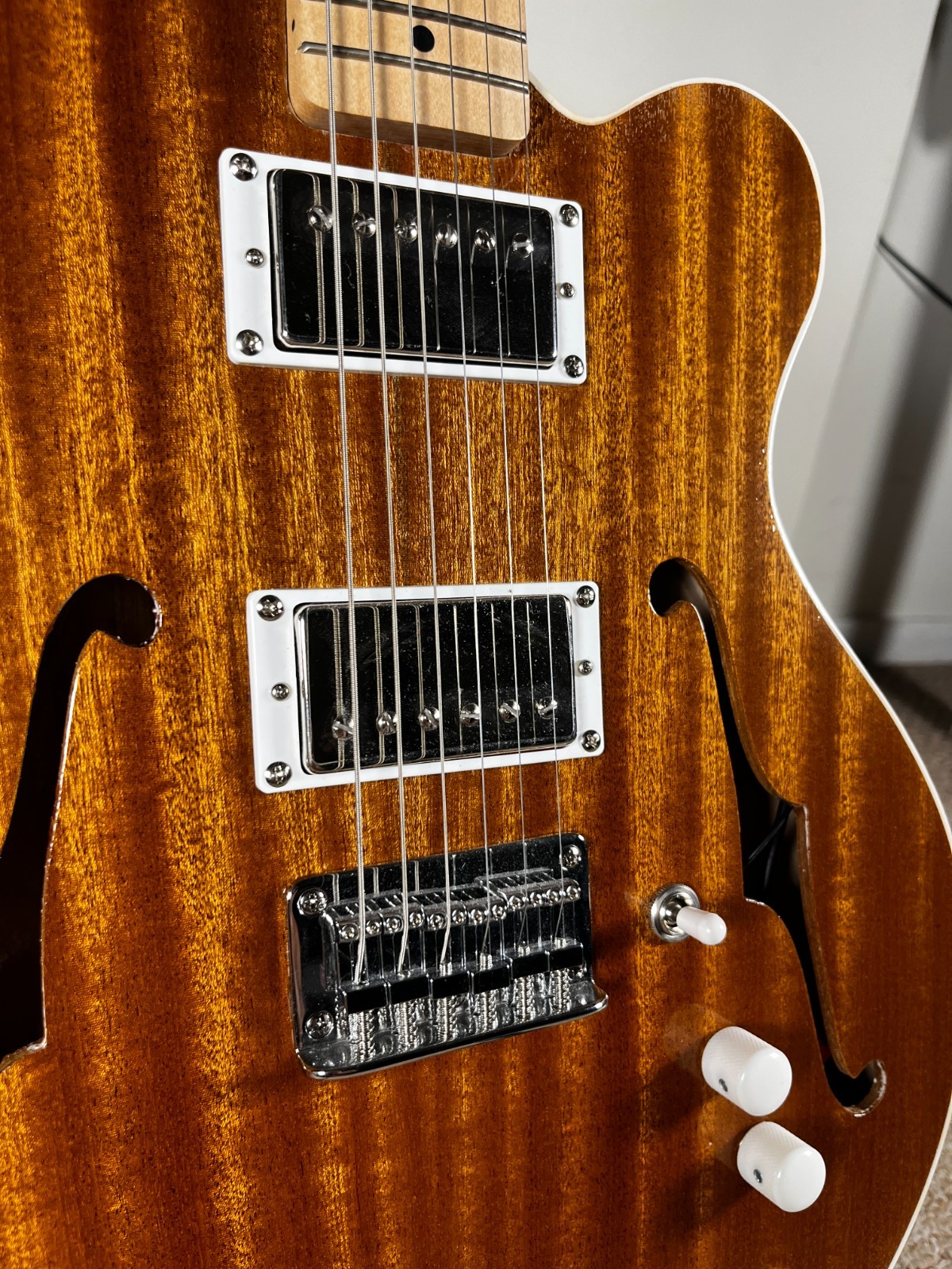 Catalyst Semi-Hollow Electric Guitar – FREE HARDCASE & SHIP (ES225/Tele hybrid)