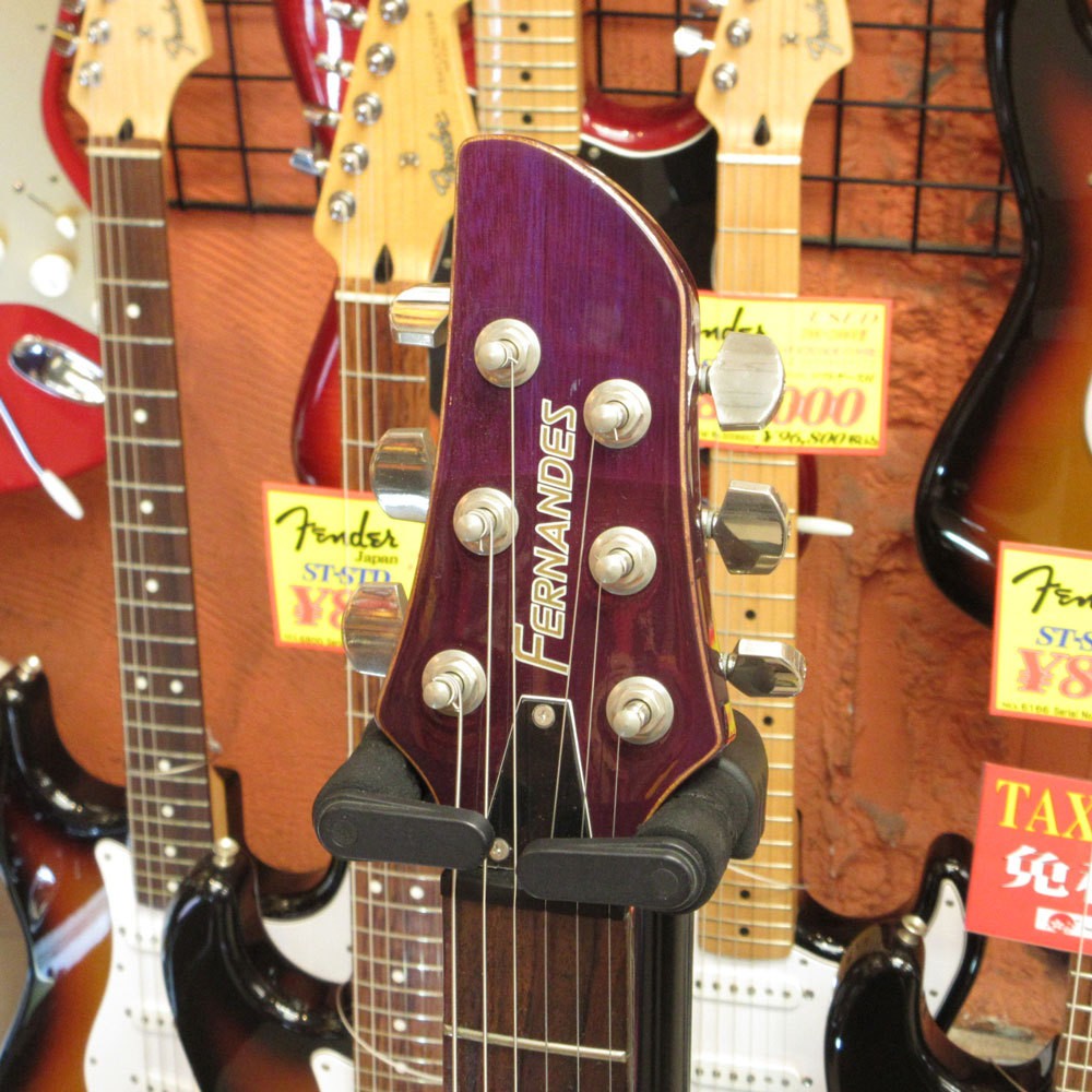 FERNANDES APG Standard (no260621)
