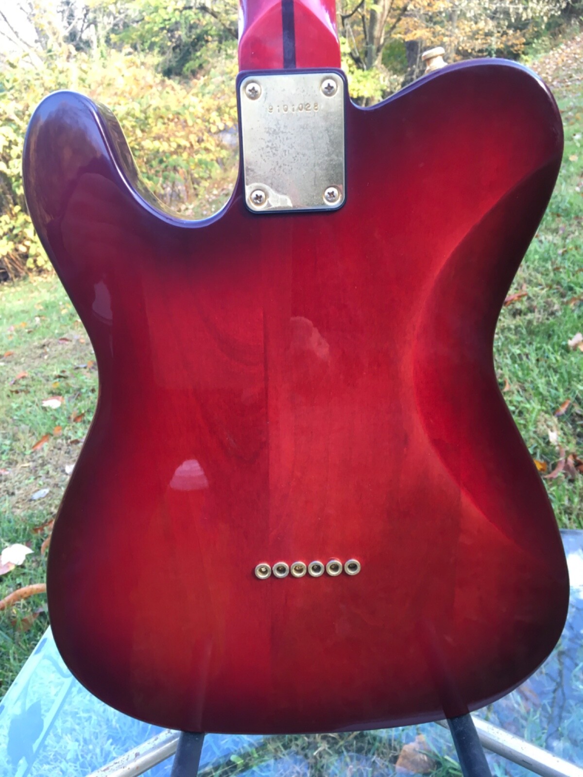 Bill’s Brothers , ( Bill Lawrence) Morris, Telecaster