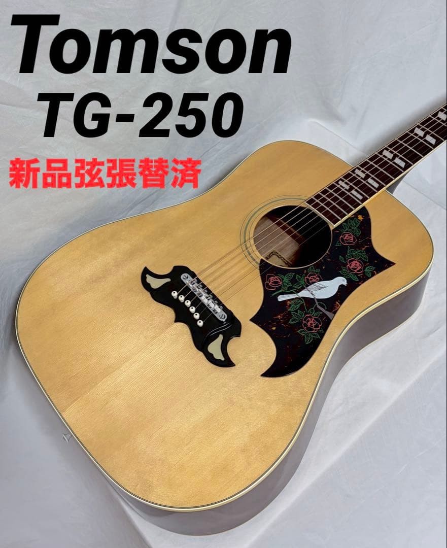[New strings replaced] Tomson acoustic guitar TG-250 DOVE type Kiso Suzuki