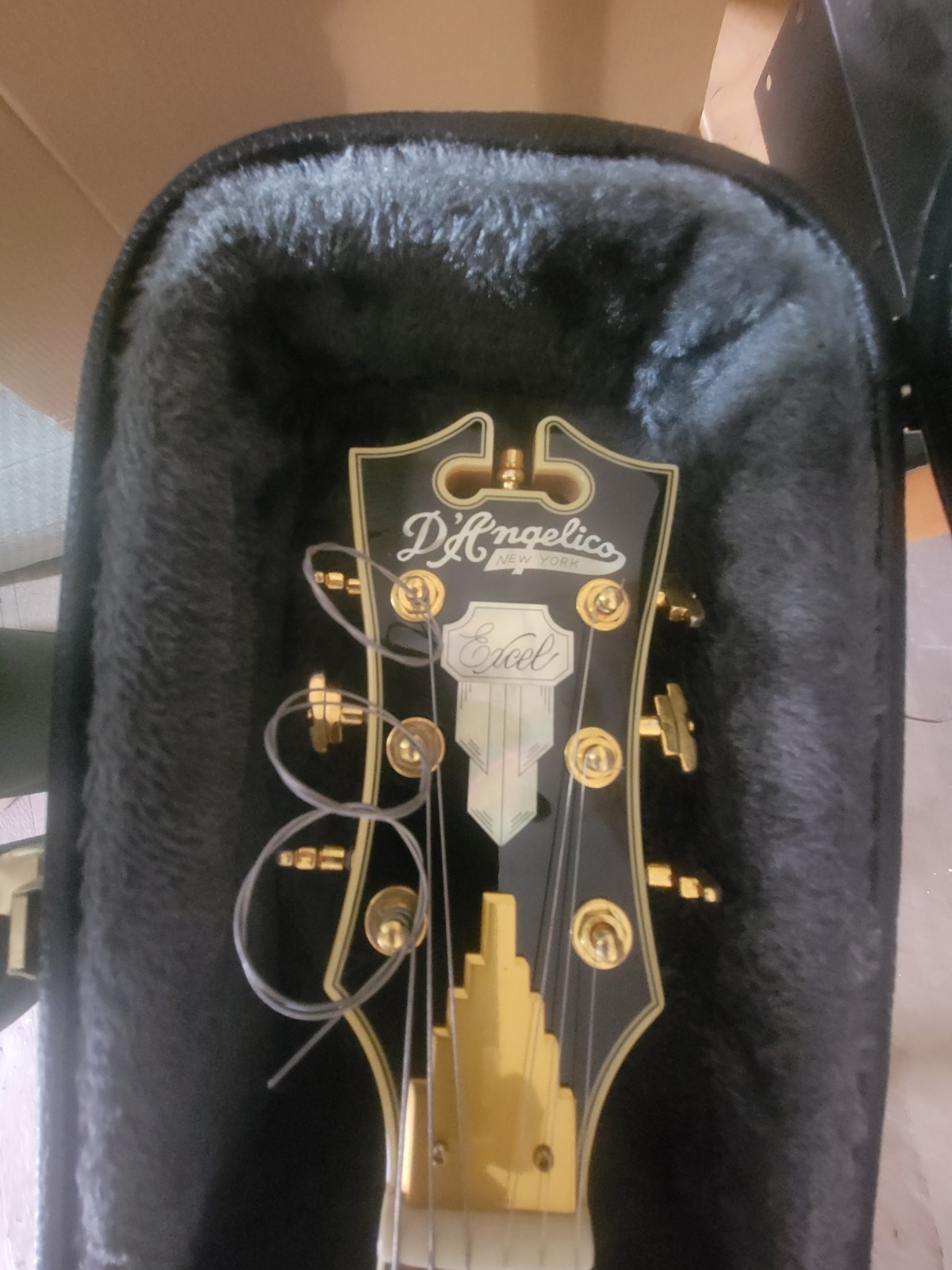D’Angelico Newyork Excel Guitar