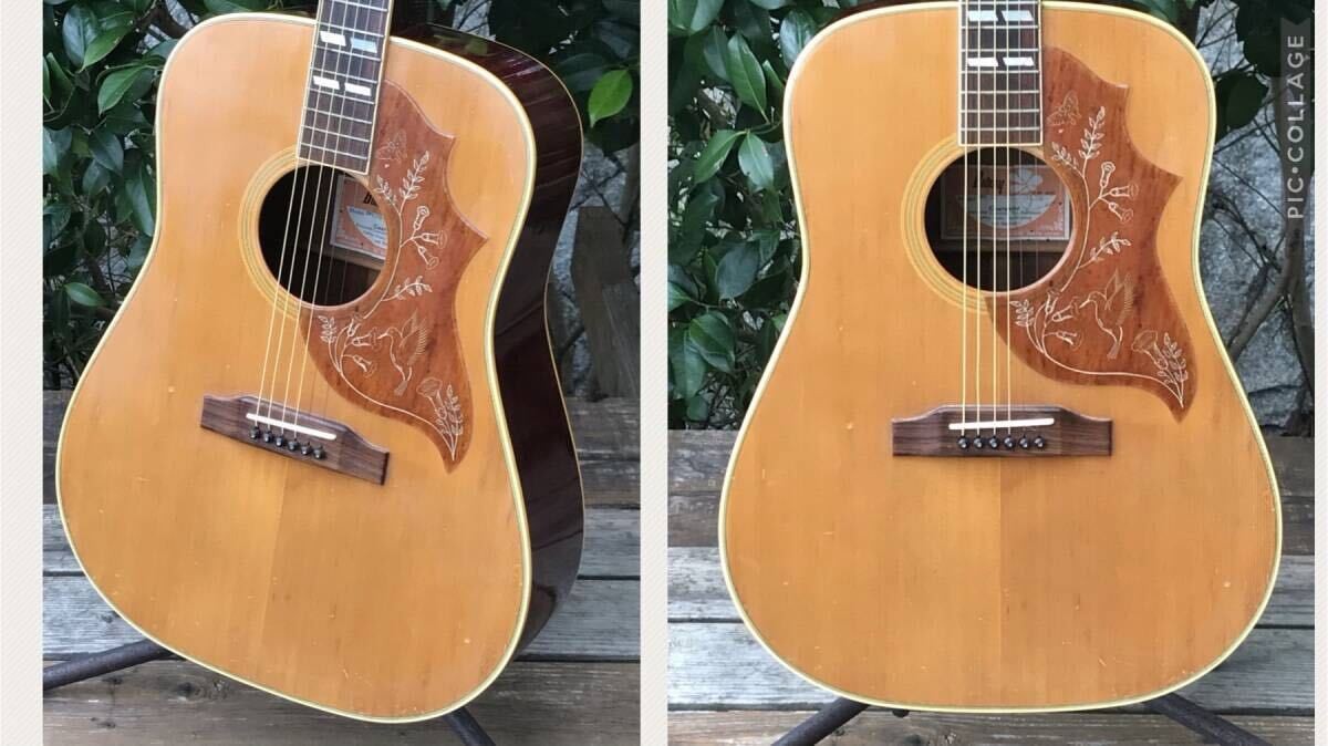 Bunny BH-75 Hummingbird