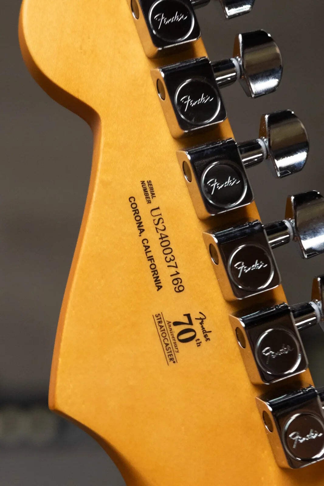 Fender American Professional II Stratocaster Thinline – Transparent Daphne Blue