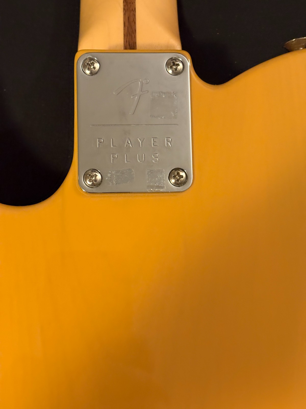 Fender Player Plus Nashville Telecaster Electric Guitar USA Maple Neck